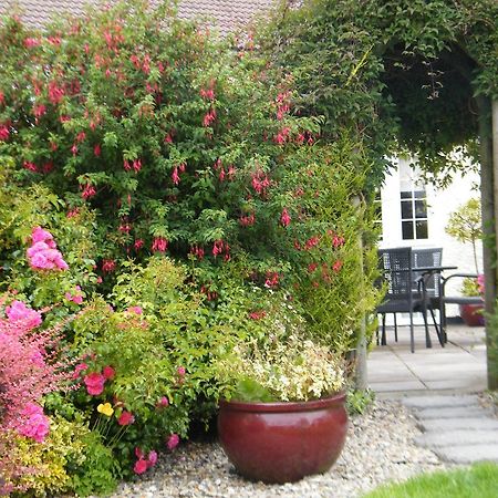 Almanii Bed & Breakfast Dublin Exterior photo